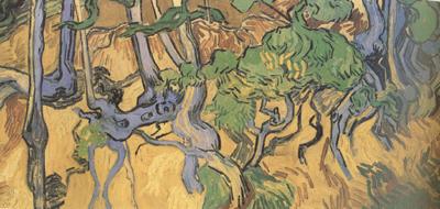 Vincent Van Gogh Tree Root and Trunks (nn04) oil painting picture